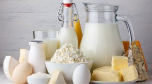 What is a Dairy Business?